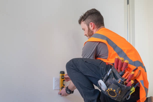 Best Electric Panel Repair  in Lonoke, AR